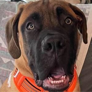 Meet your Posher, Danny